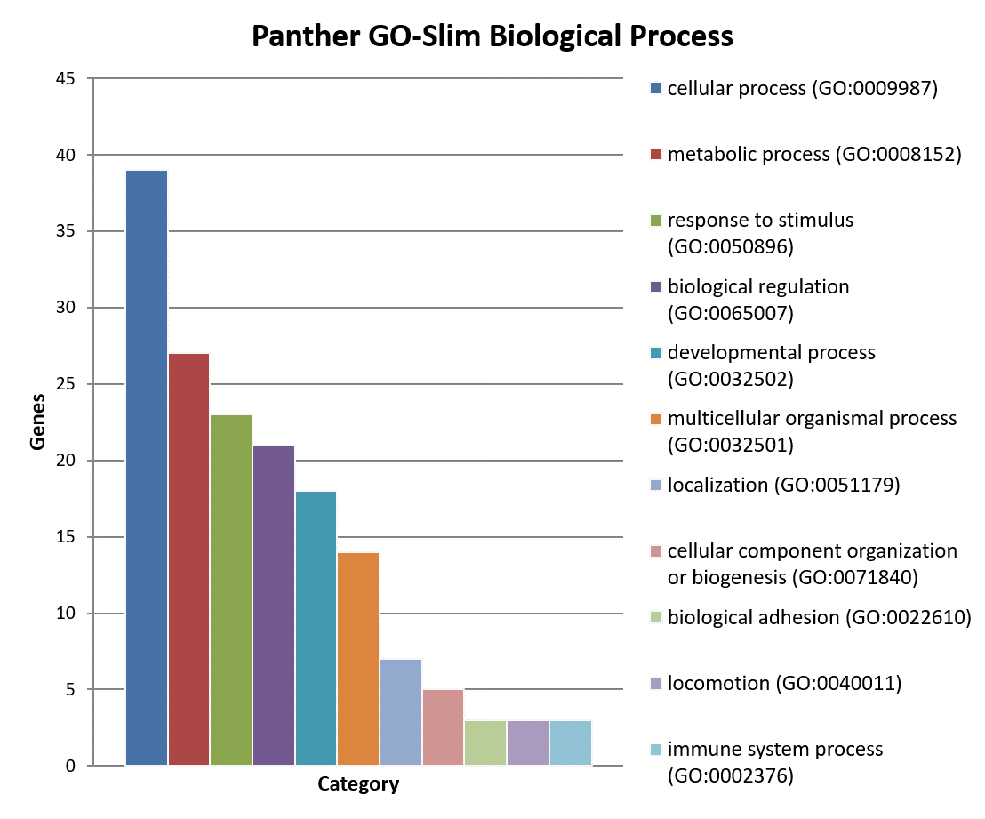 Biological Process Schema